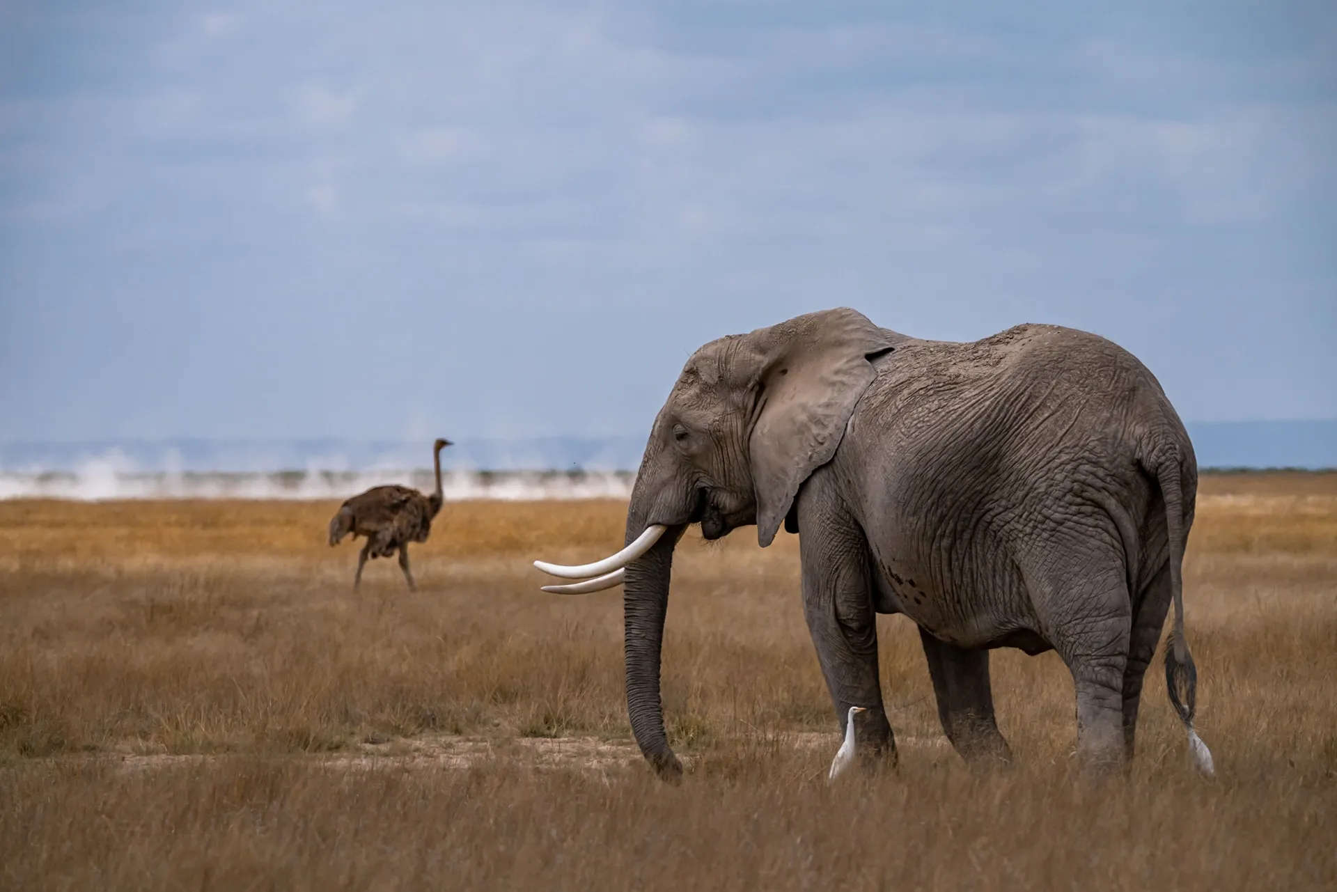 Northern Kenya & Migration