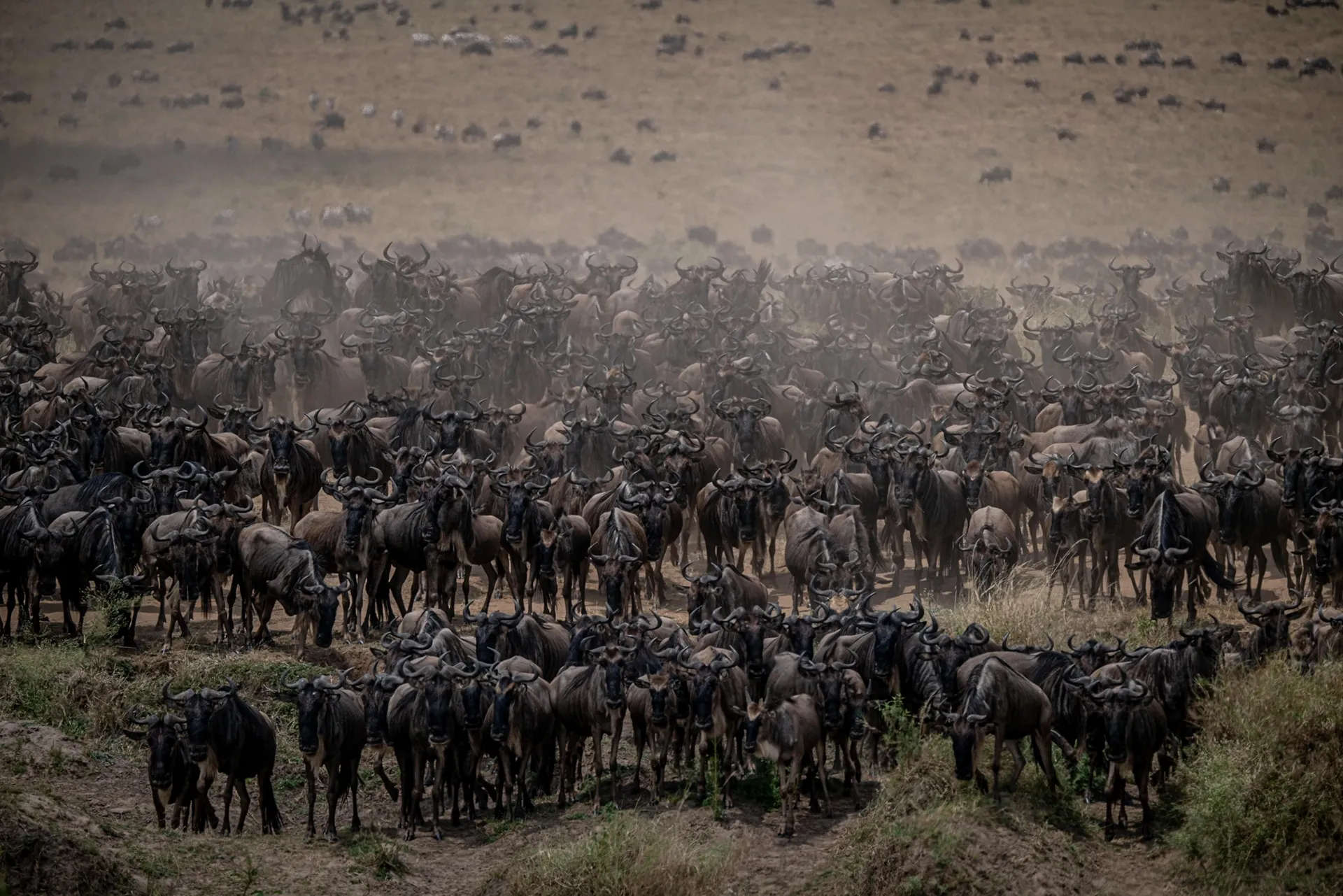 East Africa Overland